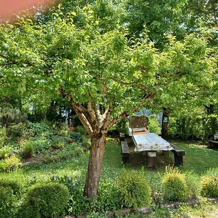 B&B La Polse Di San Pieri